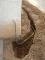 Gas Line Installation