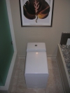 A modern square toilet can change the look of the room.